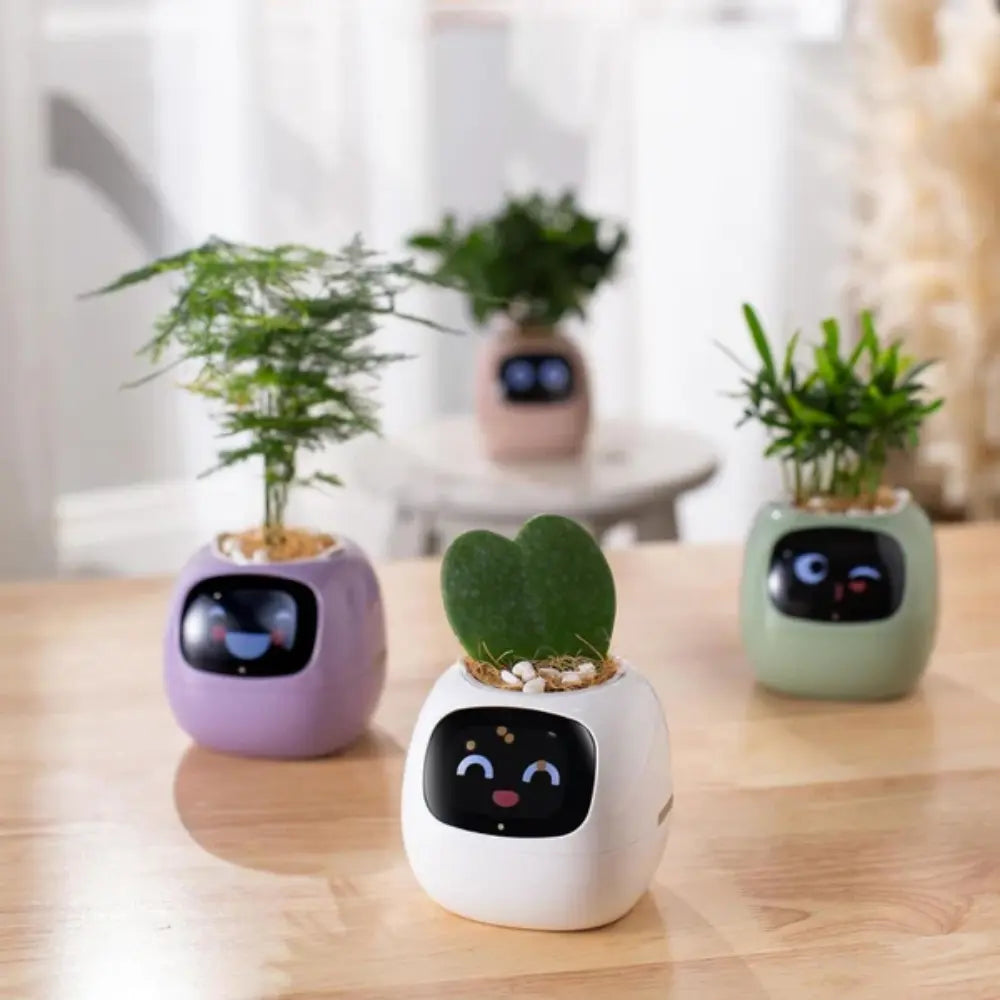 Smart Pot