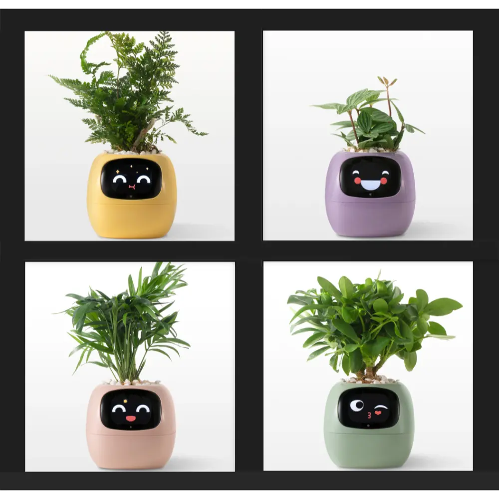 Smart Pot