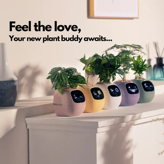 Smart Pot