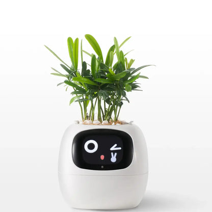 Smart Pot