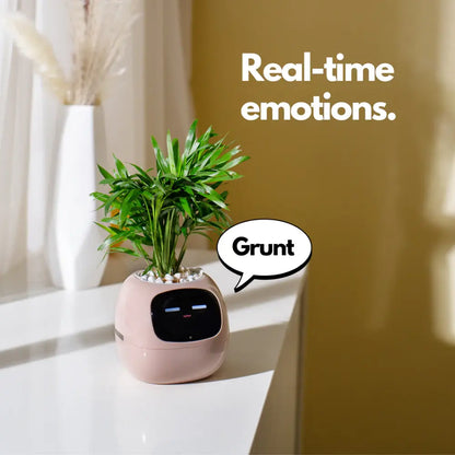 Smart Pot